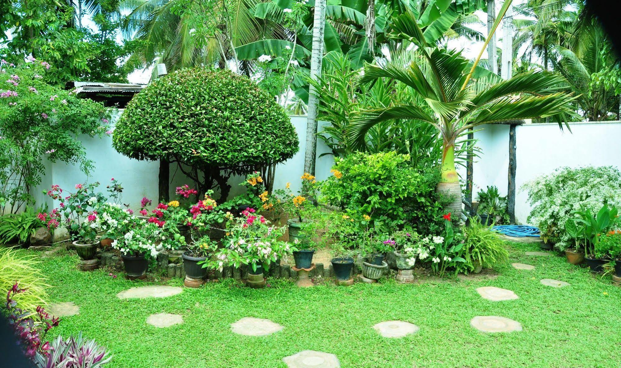 Angel Rest Hotel Mirissa Exterior photo